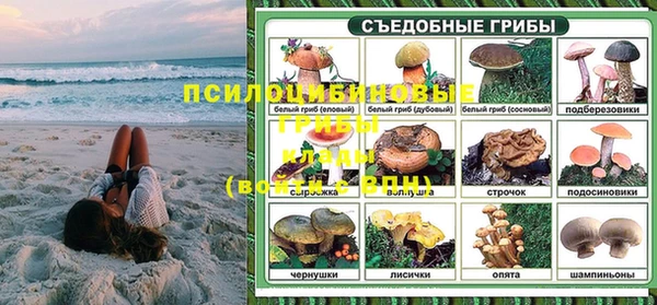 молекула духа Зерноград